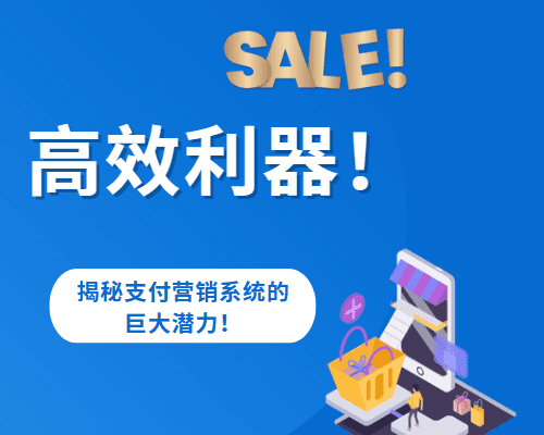 高效利器！揭秘支付营销系统的巨大潜力！