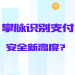 掌脉识别支付：安全新高度？