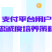 支付平台用户忠诚度培养策略