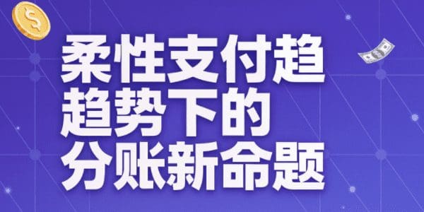 支付即体验：柔性支付趋势下的分账新命题